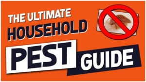 household pest guide